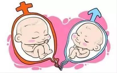 供卵代生套餐